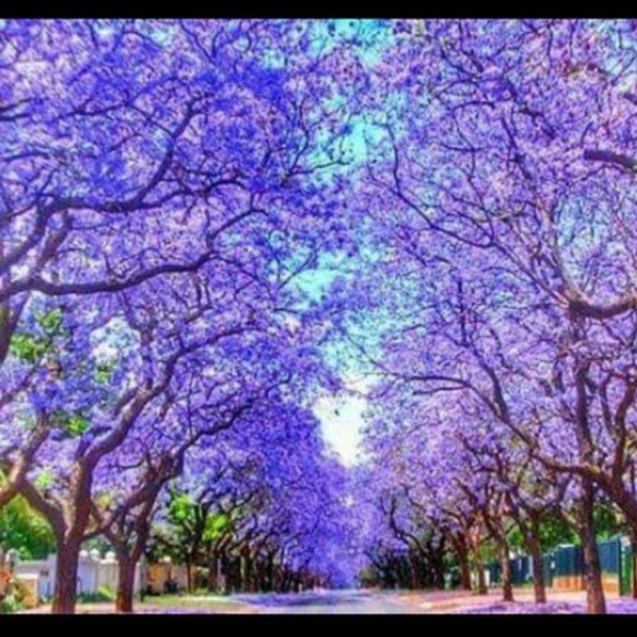 BELIEVE ❤️💕💙🦋 - Picture 4 of 16